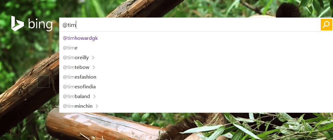 bing twitter handle search