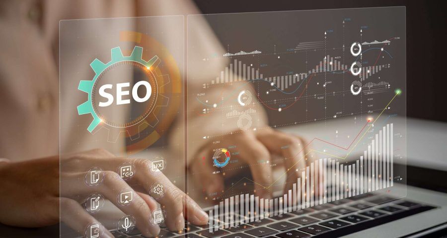 User searching for data