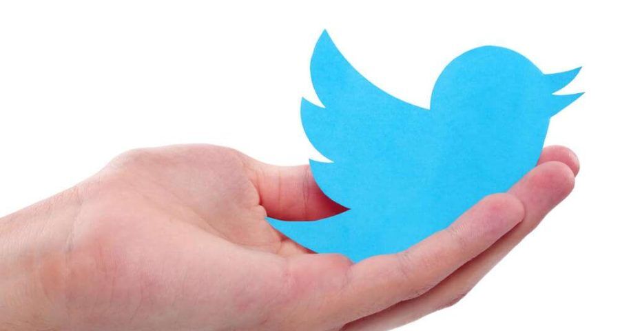 Twitter bird in hands
