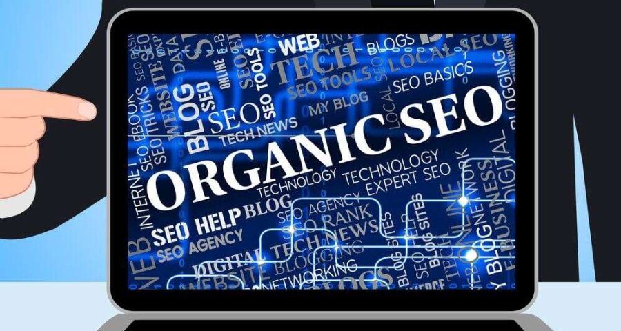 organic seo