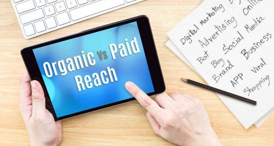 organic vs paid